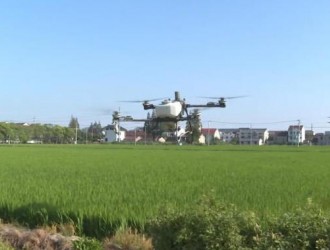 避高溫搶農時！無人機植保筑起水稻“防護網”